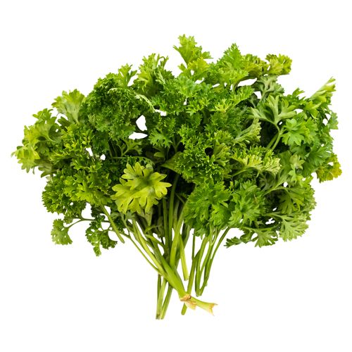 Perejil Hortifruti