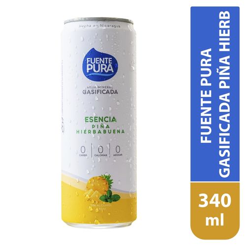 Fuente Pura Gasificada Pina Hierb 340ml